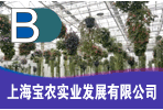 上海寶農實業發展有限公司