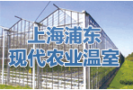 上海浦東現代農業溫室工程技術有限公司